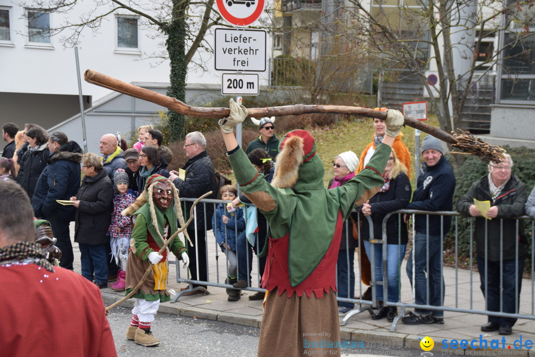 Grosser Narrensprung: Friedrichshafen am Bodensee, 02.03.2019