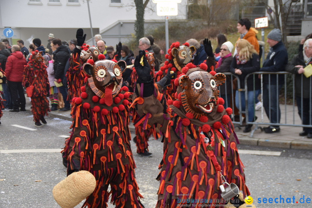 Grosser Narrensprung: Friedrichshafen am Bodensee, 02.03.2019