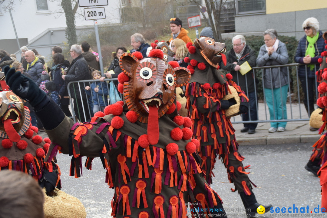 Grosser Narrensprung: Friedrichshafen am Bodensee, 02.03.2019