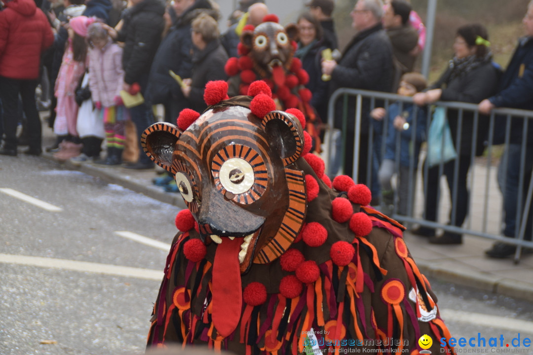 Grosser Narrensprung: Friedrichshafen am Bodensee, 02.03.2019