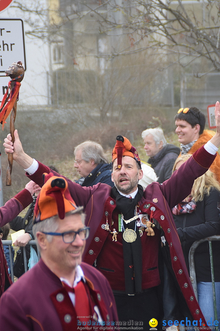 Grosser Narrensprung: Friedrichshafen am Bodensee, 02.03.2019