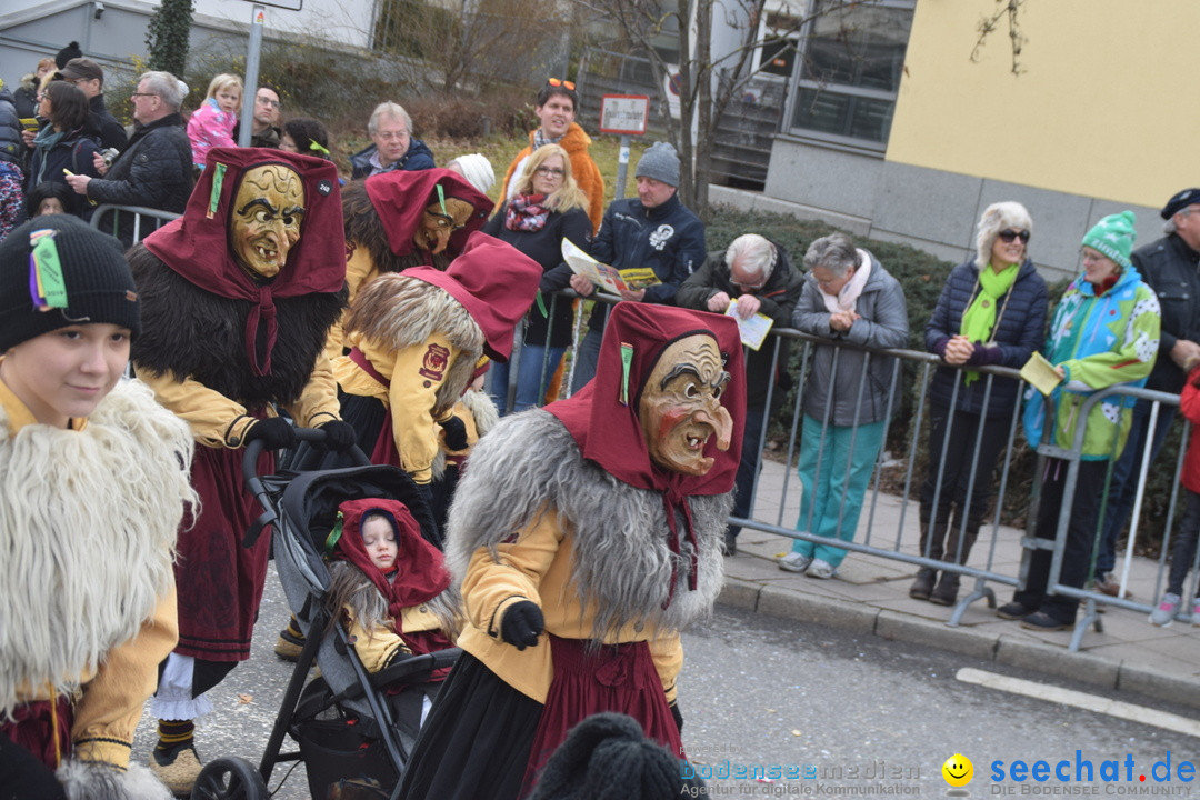 Grosser Narrensprung: Friedrichshafen am Bodensee, 02.03.2019