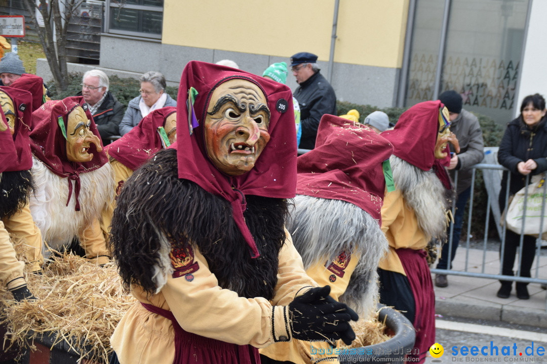 Grosser Narrensprung: Friedrichshafen am Bodensee, 02.03.2019
