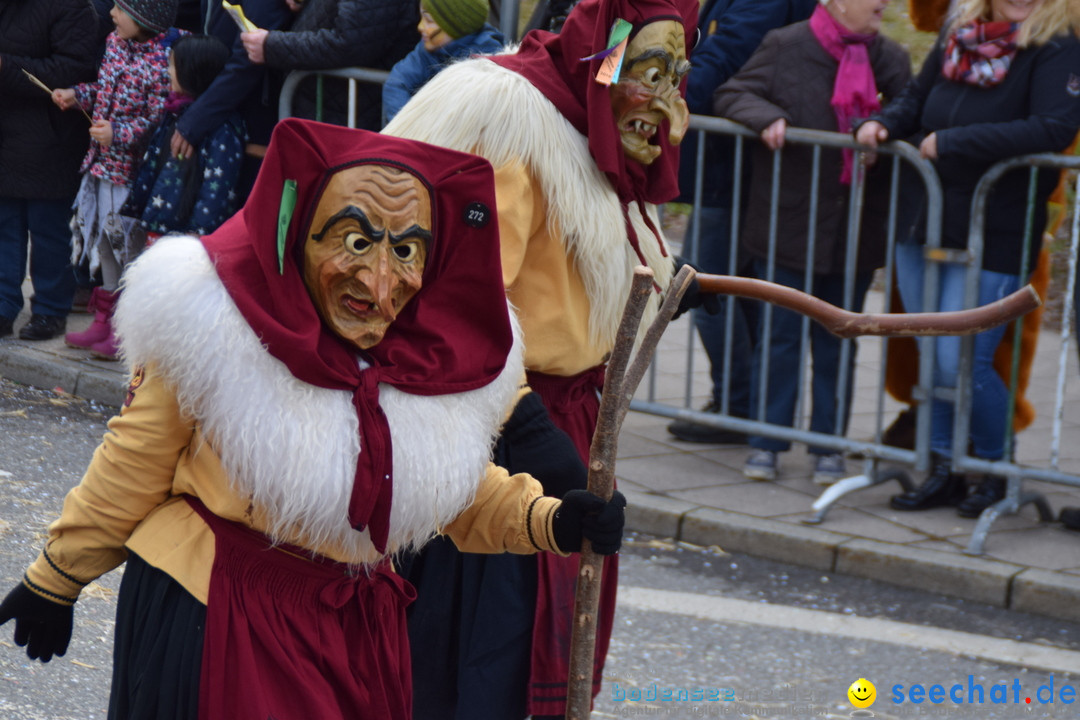 Grosser Narrensprung: Friedrichshafen am Bodensee, 02.03.2019
