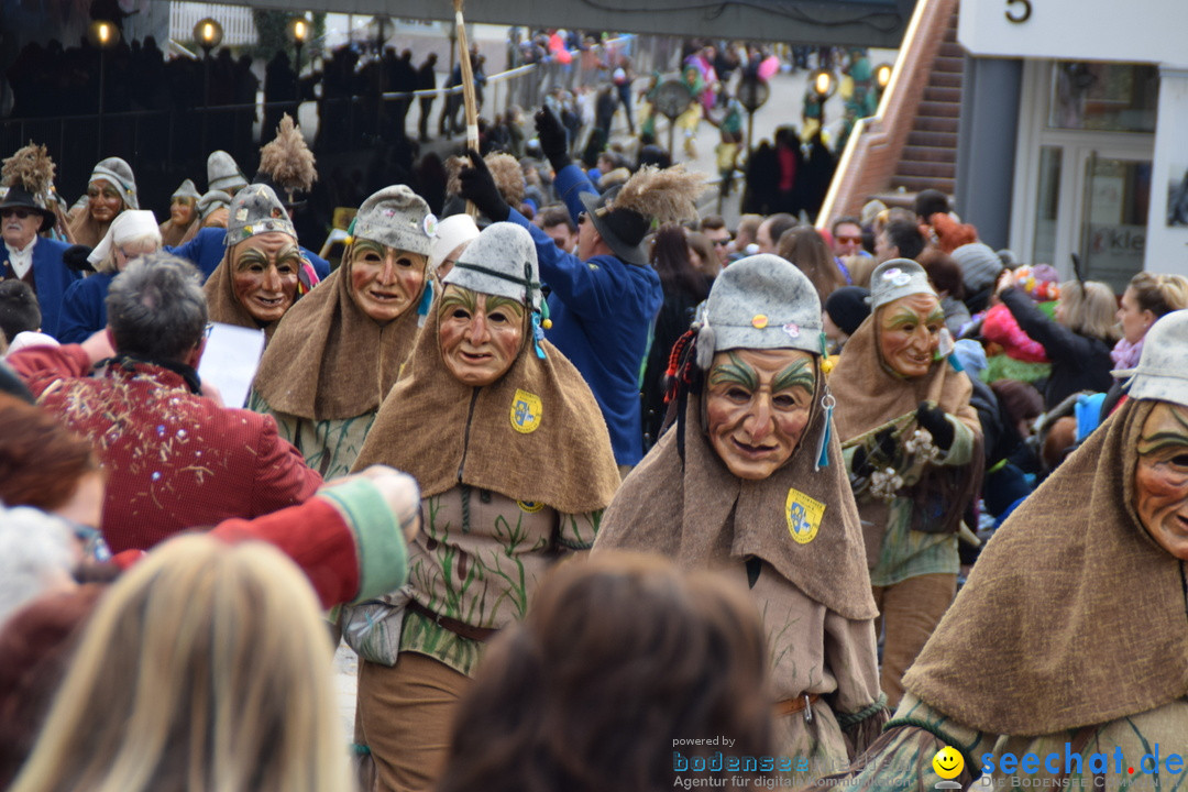Grosser Narrensprung: Friedrichshafen am Bodensee, 02.03.2019