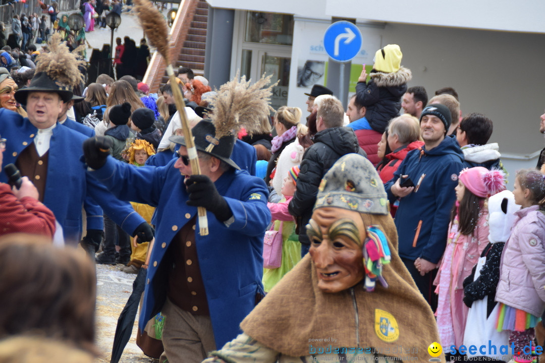 Grosser Narrensprung: Friedrichshafen am Bodensee, 02.03.2019