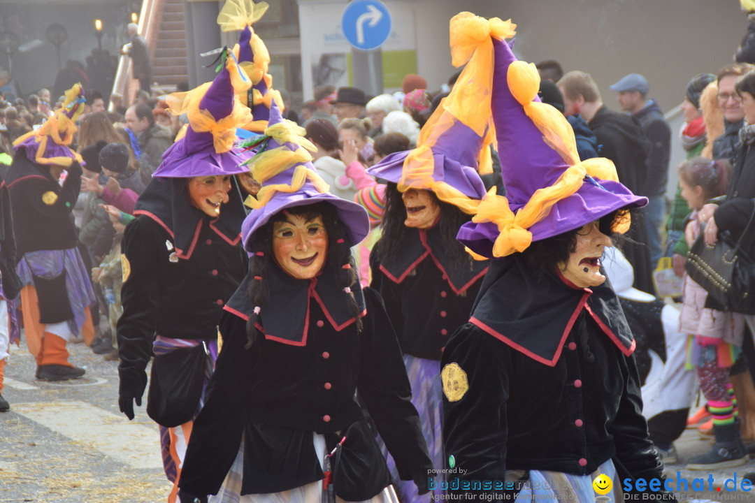 Grosser Narrensprung: Friedrichshafen am Bodensee, 02.03.2019