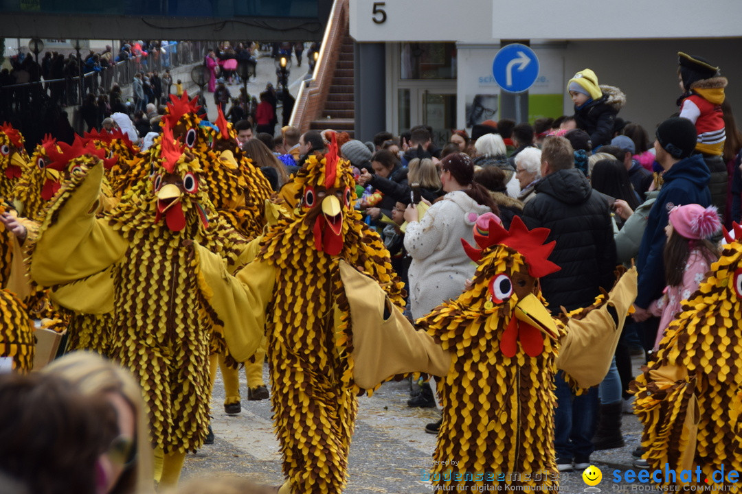 Grosser Narrensprung: Friedrichshafen am Bodensee, 02.03.2019
