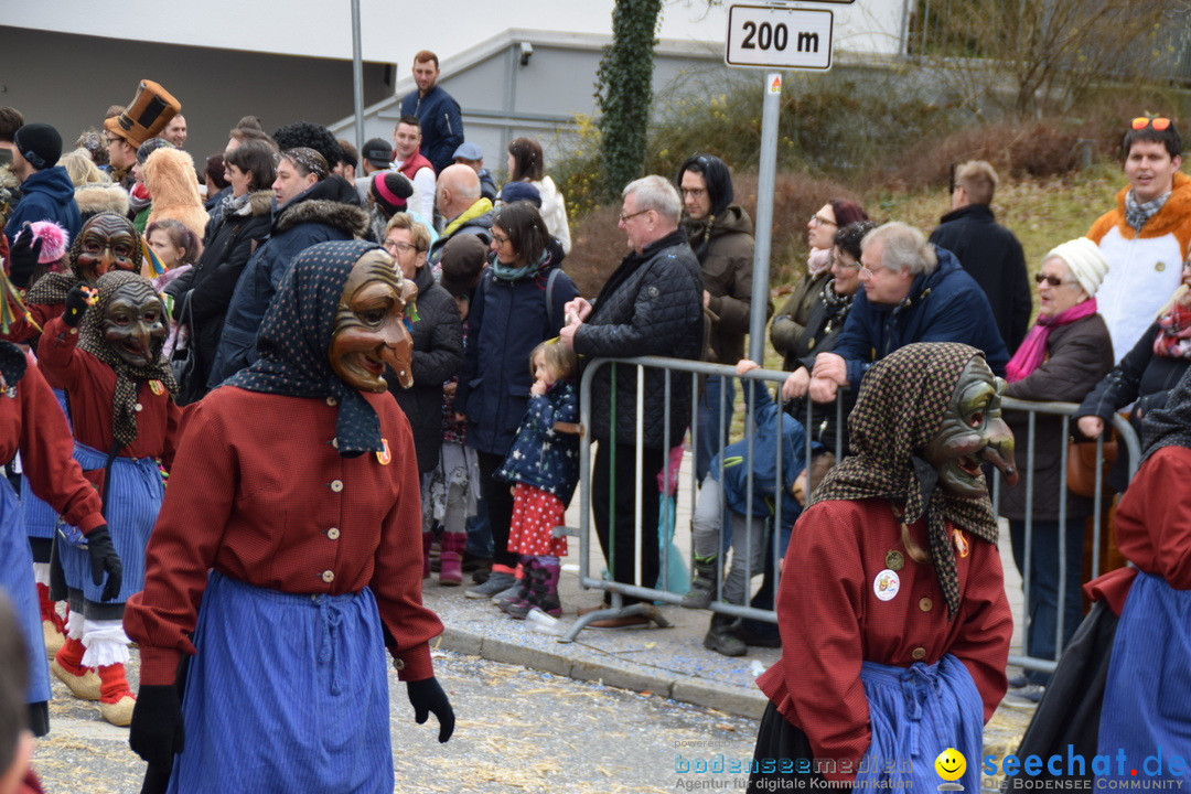 Grosser Narrensprung: Friedrichshafen am Bodensee, 02.03.2019