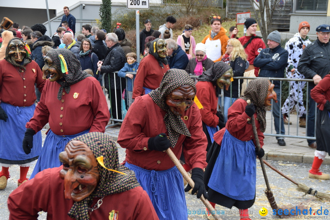 Grosser Narrensprung: Friedrichshafen am Bodensee, 02.03.2019
