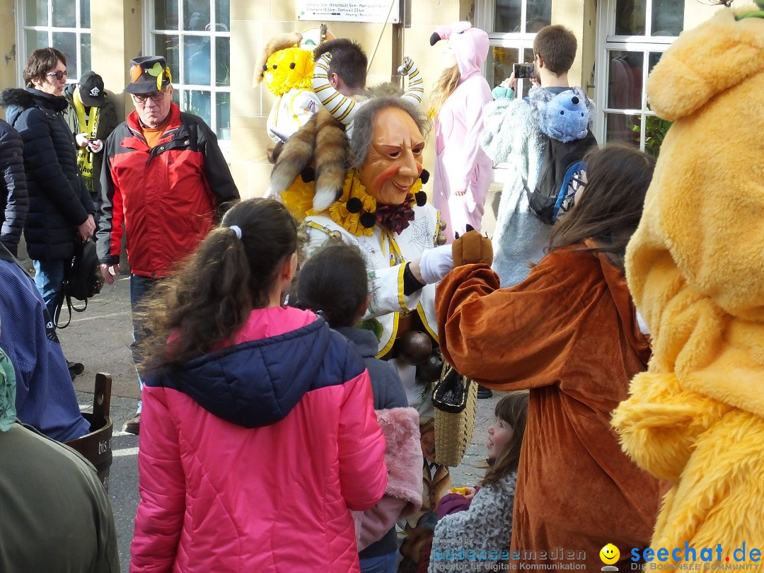 HANSELSPRUNG: Fasnet im Schwarzwald - Schramberg, 03.03.2019