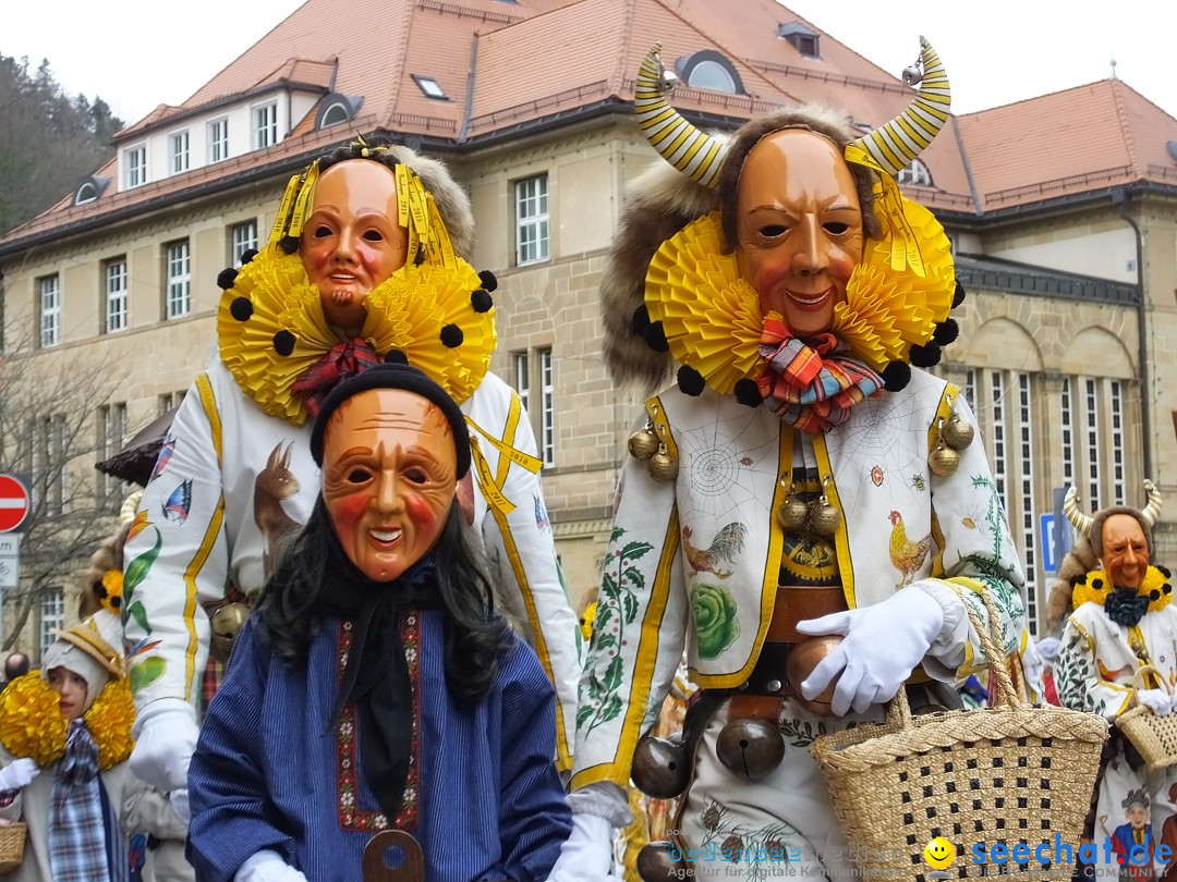 HANSELSPRUNG: Fasnet im Schwarzwald - Schramberg, 03.03.2019