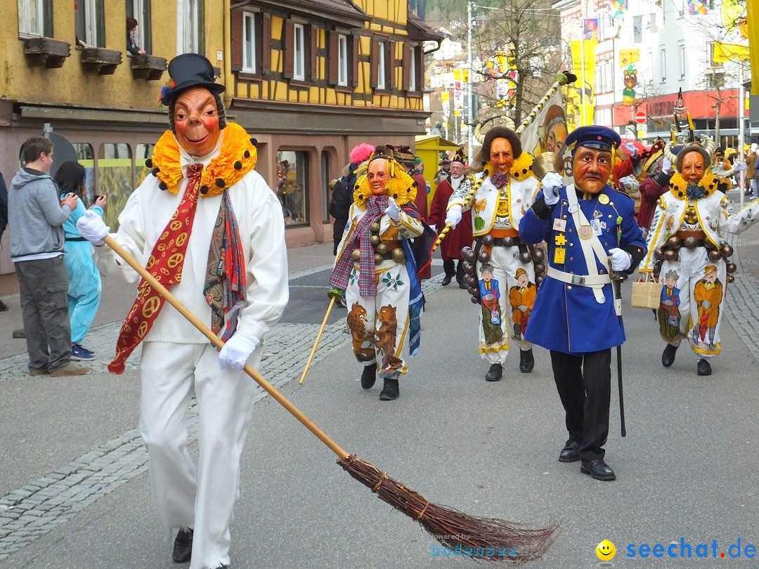HANSELSPRUNG: Fasnet im Schwarzwald - Schramberg, 03.03.2019