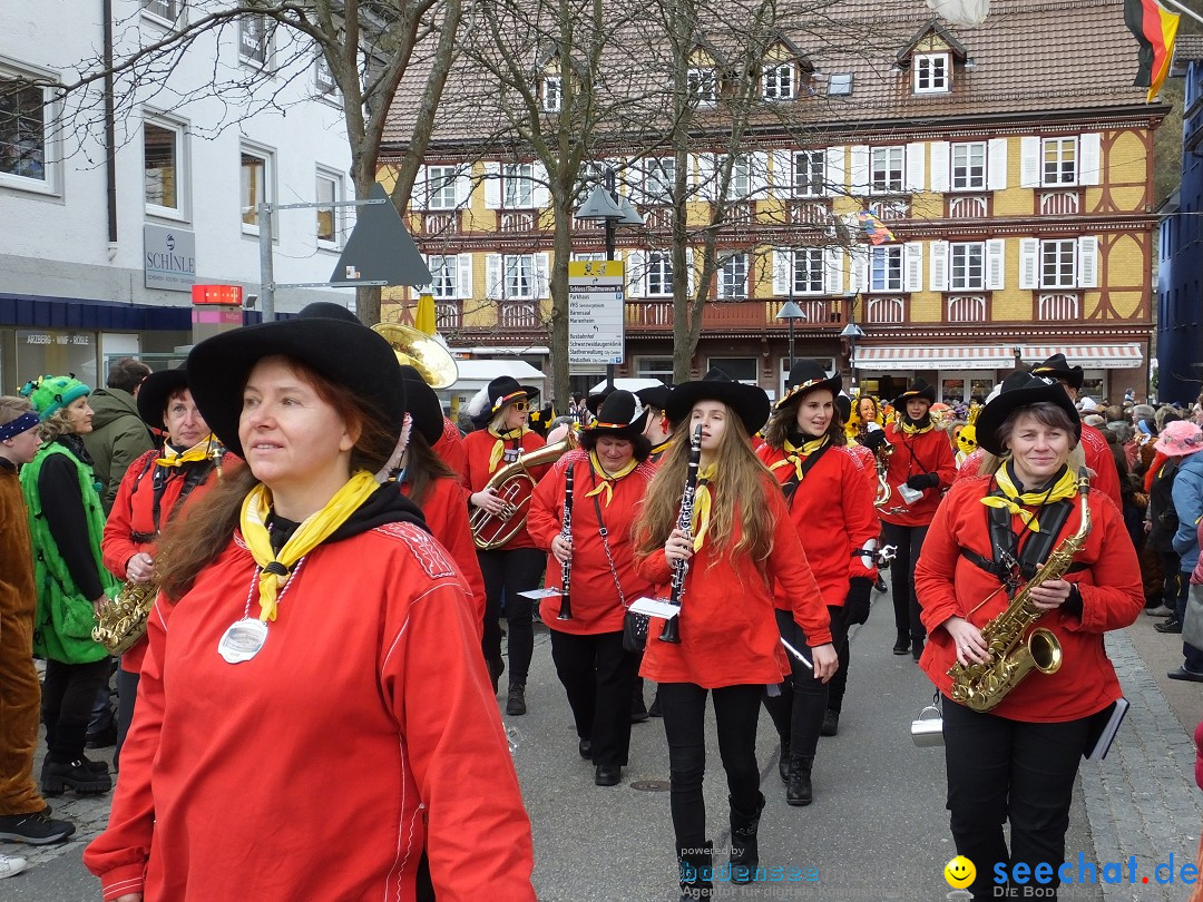 HANSELSPRUNG: Fasnet im Schwarzwald - Schramberg, 03.03.2019