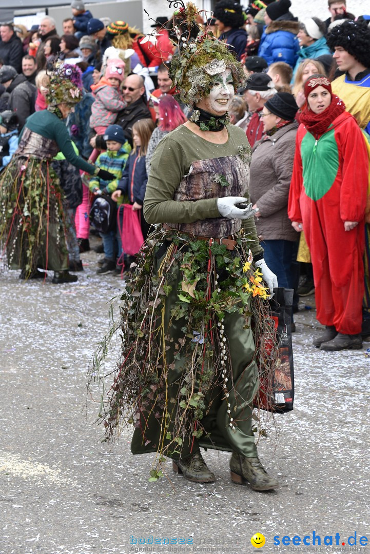 Fasnetsumzug: Zell - Rot an der Rot, 02.03.2019