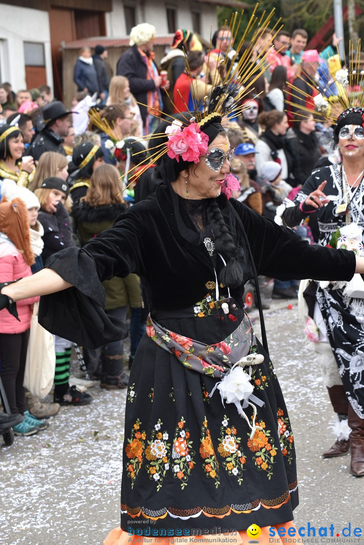 Fasnetsumzug: Zell - Rot an der Rot, 02.03.2019