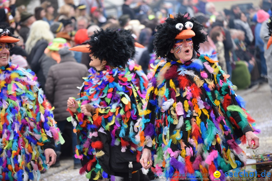 Fasnetsumzug: Zell - Rot an der Rot, 02.03.2019