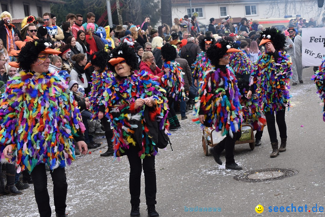 Fasnetsumzug: Zell - Rot an der Rot, 02.03.2019