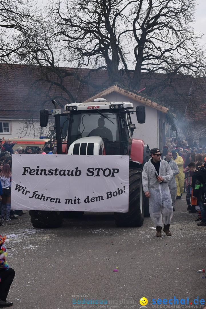 Fasnetsumzug: Zell - Rot an der Rot, 02.03.2019
