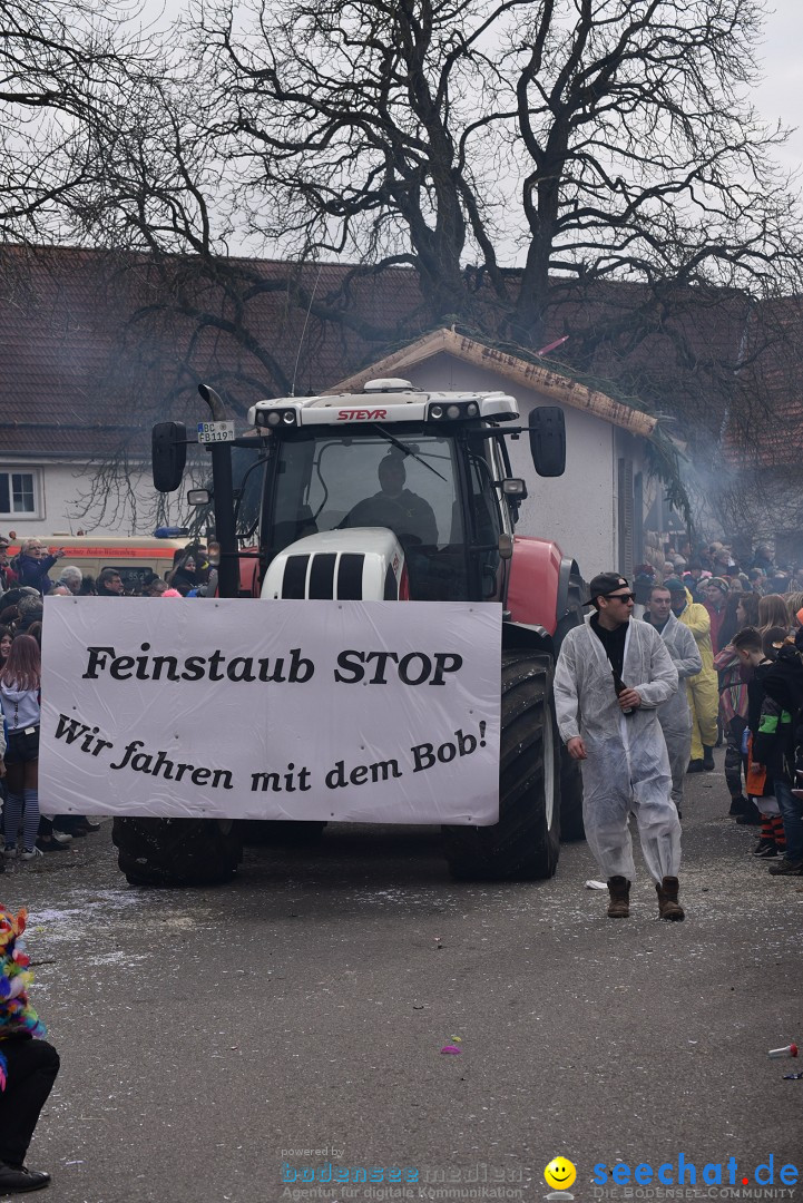Fasnetsumzug: Zell - Rot an der Rot, 02.03.2019
