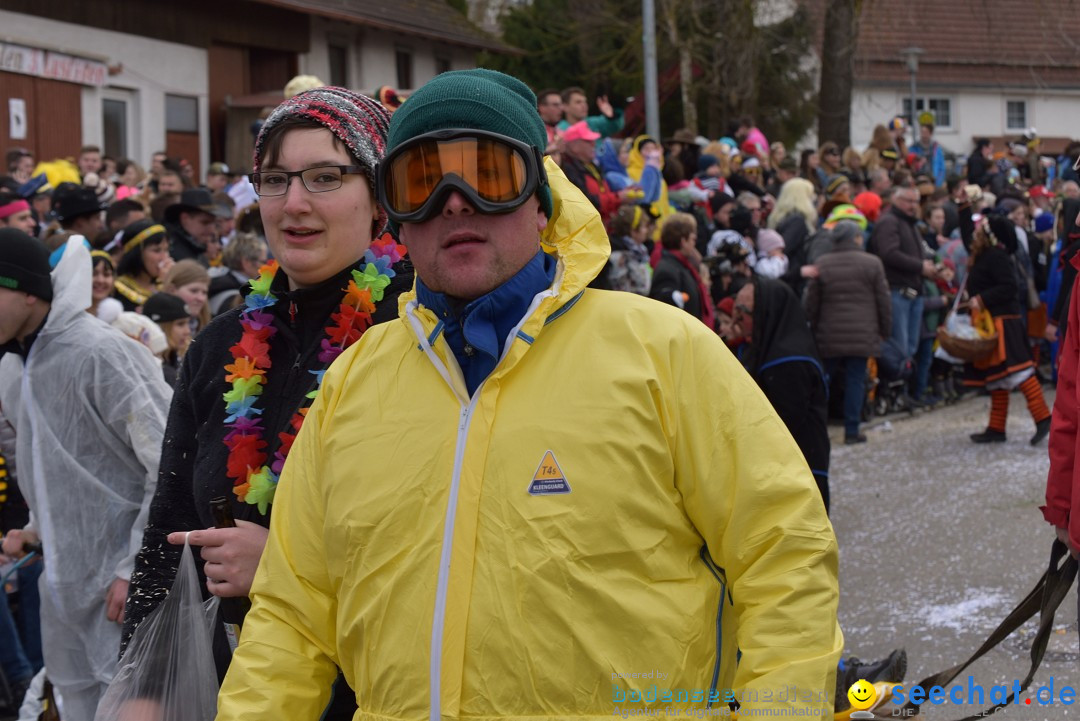 Fasnetsumzug: Zell - Rot an der Rot, 02.03.2019