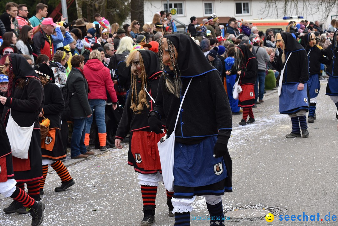 Fasnetsumzug: Zell - Rot an der Rot, 02.03.2019