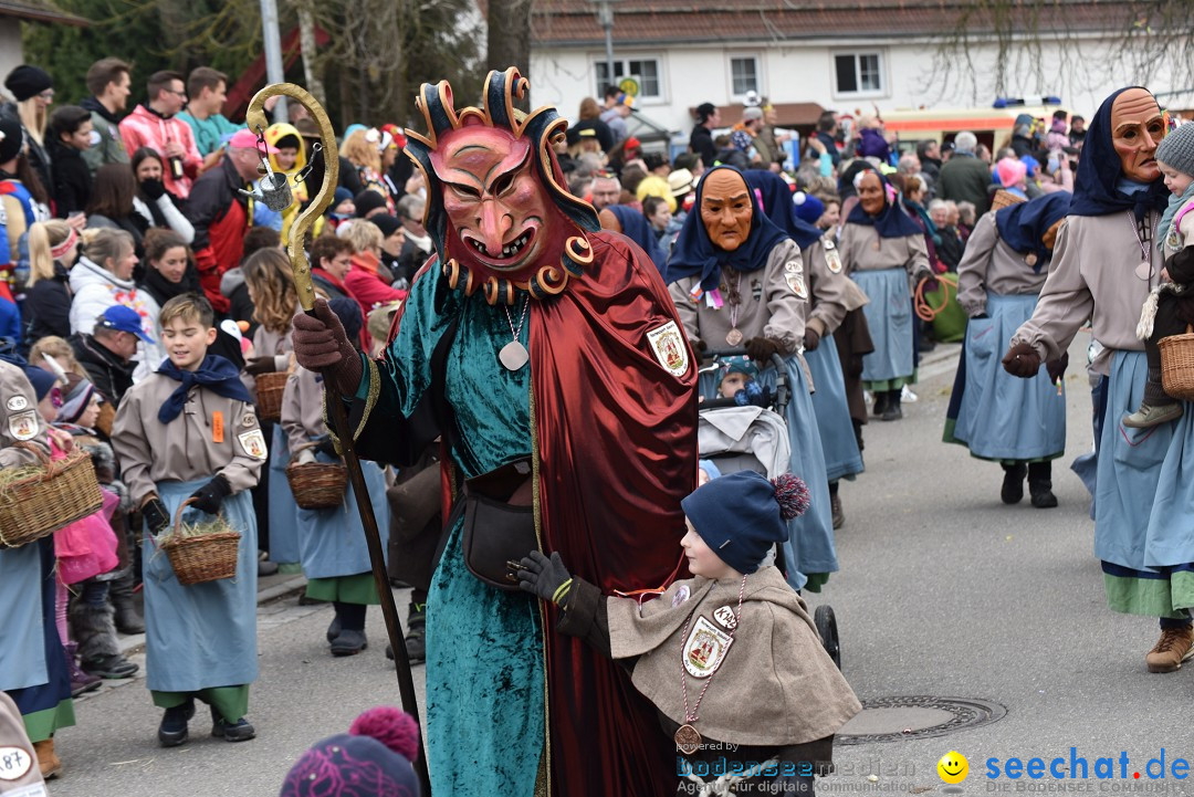 Fasnetsumzug: Zell - Rot an der Rot, 02.03.2019