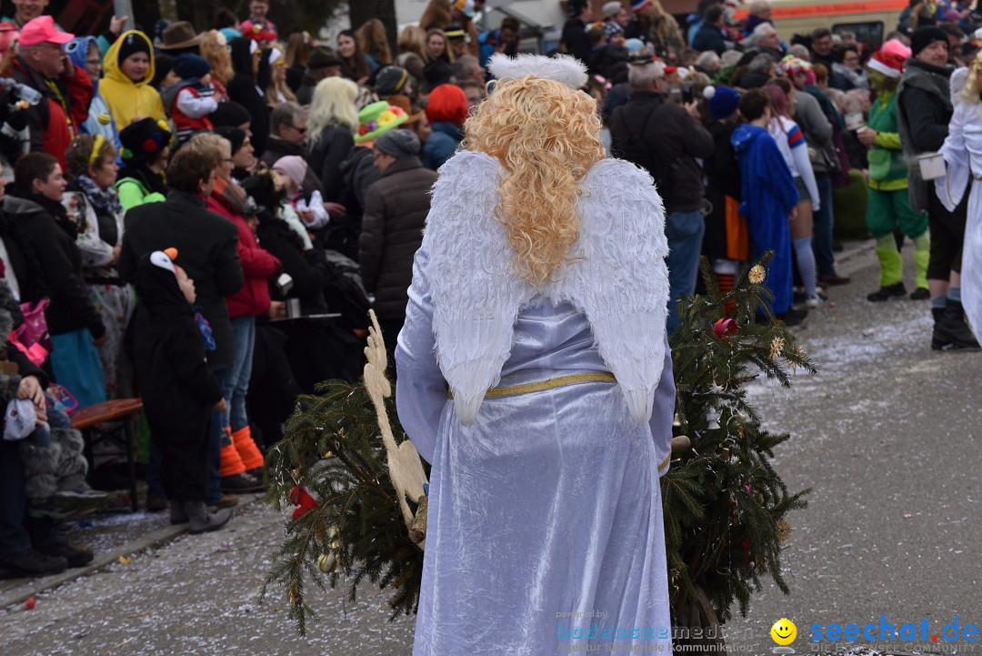 Fasnetsumzug: Zell - Rot an der Rot, 02.03.2019