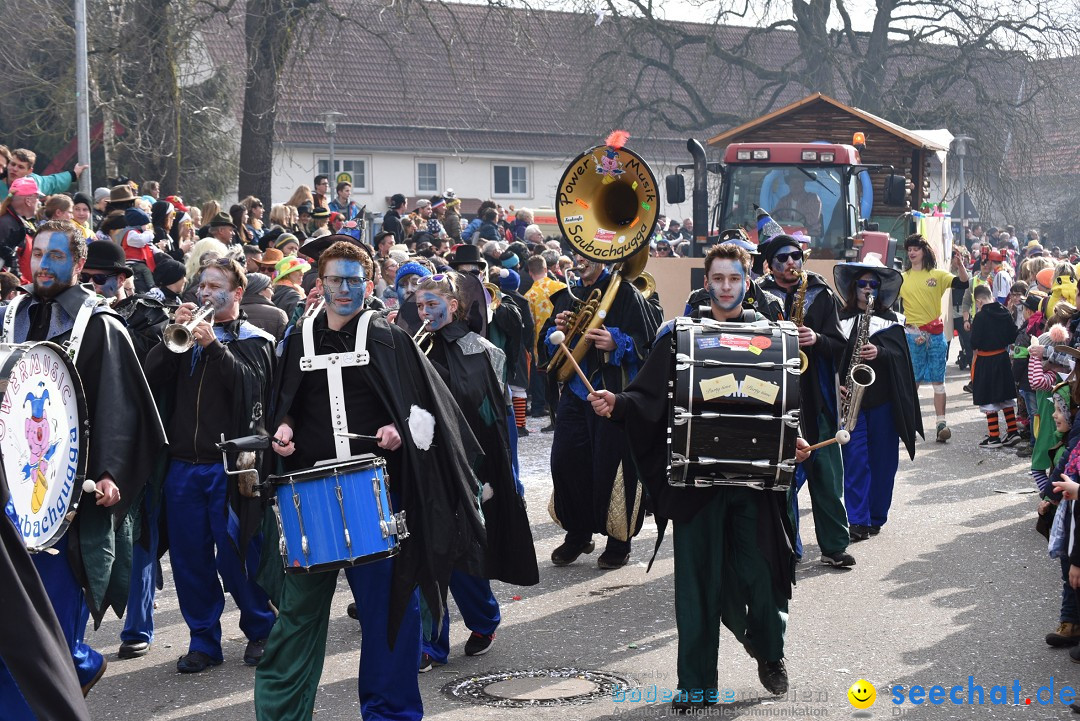 Fasnetsumzug: Zell - Rot an der Rot, 02.03.2019
