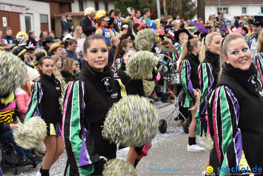 Fasnetsumzug: Zell - Rot an der Rot, 02.03.2019