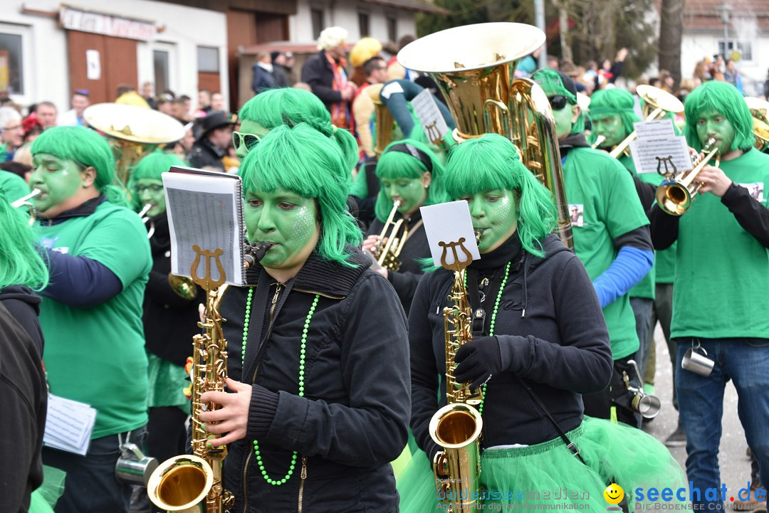 Fasnetsumzug: Zell - Rot an der Rot, 02.03.2019