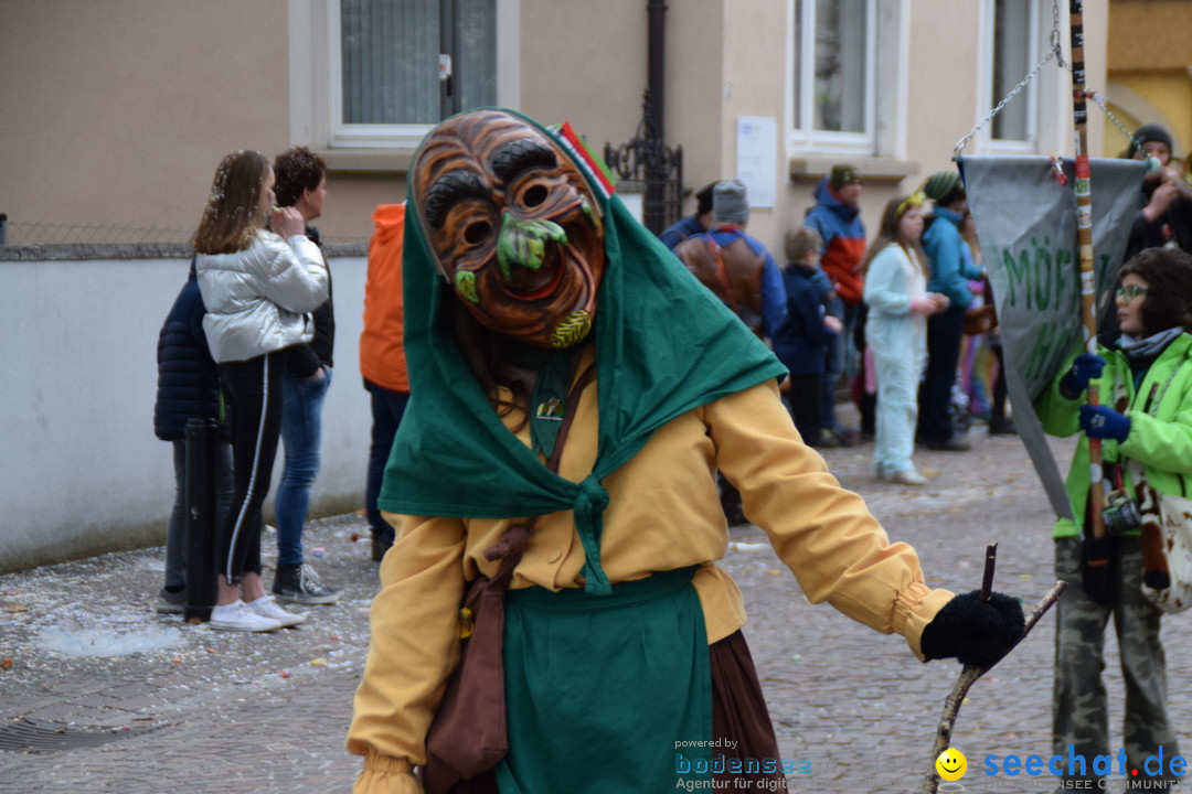 Fasnetsumzug - Fasching: Tettnang am Bodensee, 05.03.2019