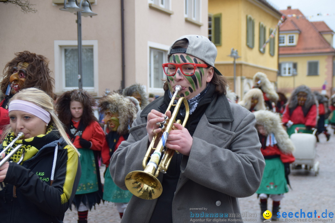 Fasnetsumzug - Fasching: Tettnang am Bodensee, 05.03.2019