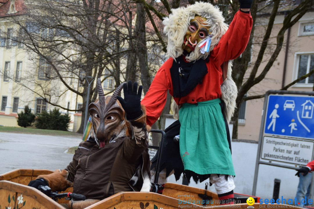 Fasnetsumzug - Fasching: Tettnang am Bodensee, 05.03.2019