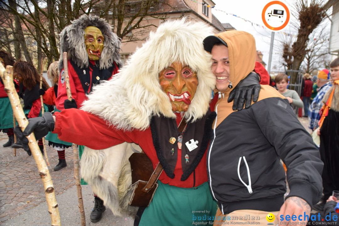 Fasnetsumzug - Fasching: Tettnang am Bodensee, 05.03.2019