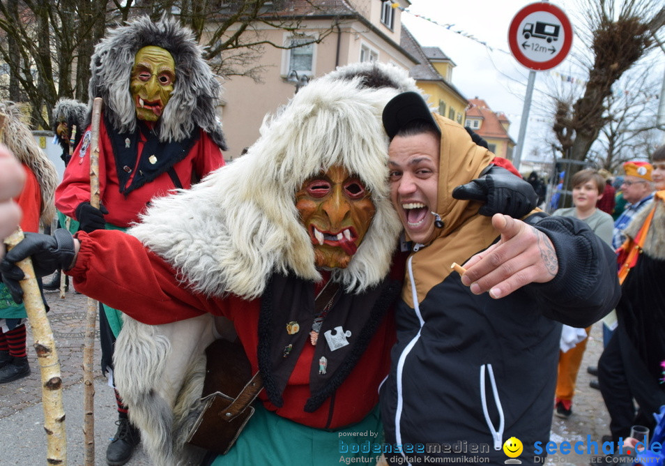 Fasnetsumzug - Fasching: Tettnang am Bodensee, 05.03.2019