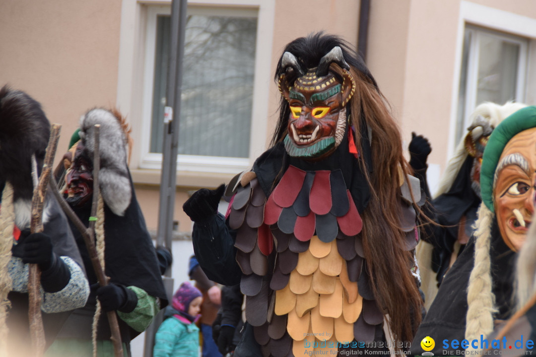 Fasnetsumzug - Fasching: Tettnang am Bodensee, 05.03.2019