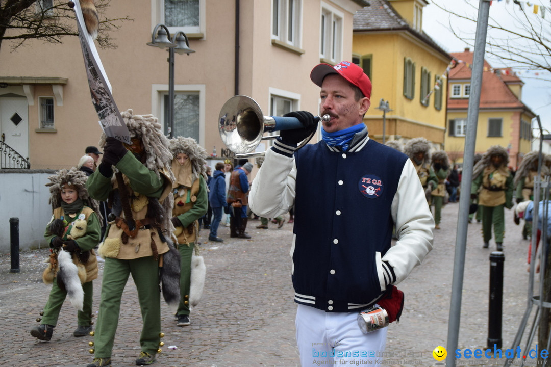 Fasnetsumzug - Fasching: Tettnang am Bodensee, 05.03.2019