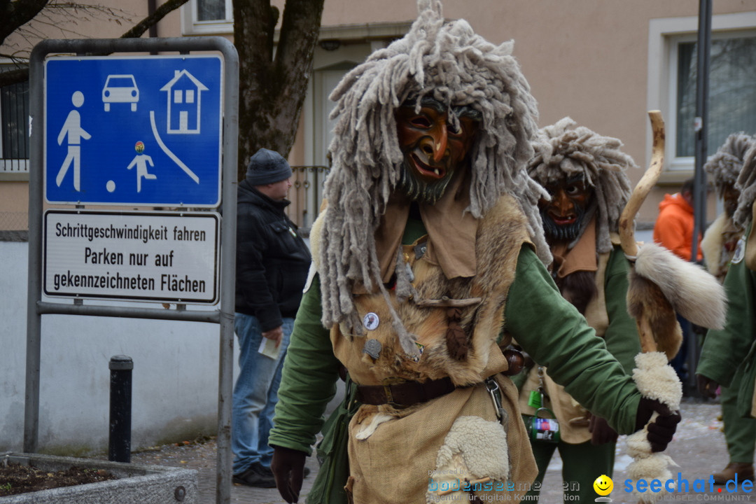 Fasnetsumzug - Fasching: Tettnang am Bodensee, 05.03.2019