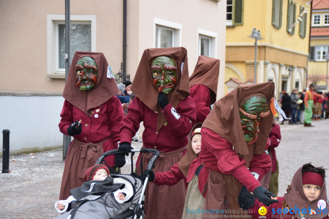 Fasnetsumzug - Fasching: Tettnang am Bodensee, 05.03.2019