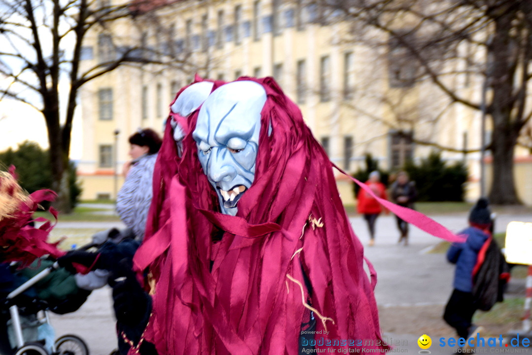 Fasnetsumzug - Fasching: Tettnang am Bodensee, 05.03.2019