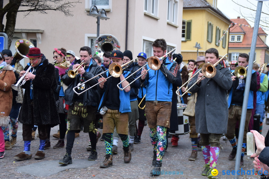 Fasnetsumzug - Fasching: Tettnang am Bodensee, 05.03.2019