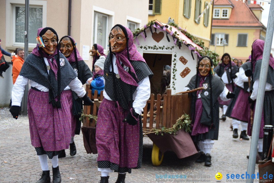 Fasnetsumzug - Fasching: Tettnang am Bodensee, 05.03.2019