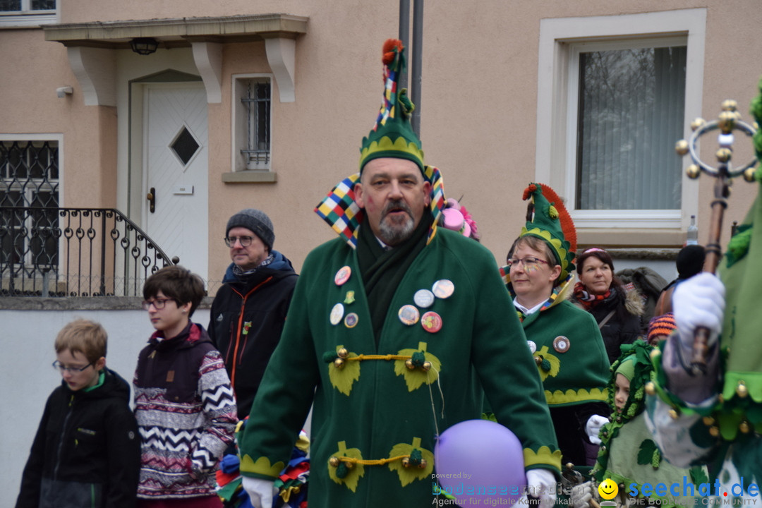 Fasnetsumzug - Fasching: Tettnang am Bodensee, 05.03.2019