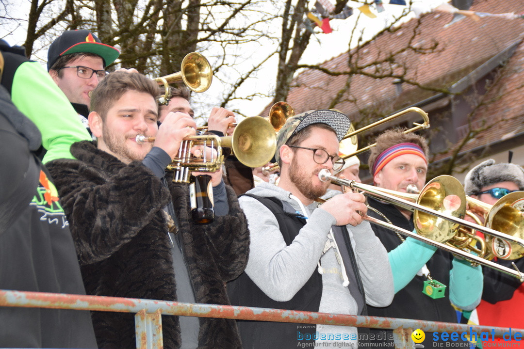 Fasnetsumzug - Fasching: Tettnang am Bodensee, 05.03.2019