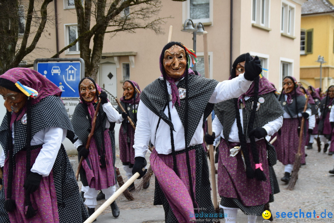 Fasnetsumzug - Fasching: Tettnang am Bodensee, 05.03.2019