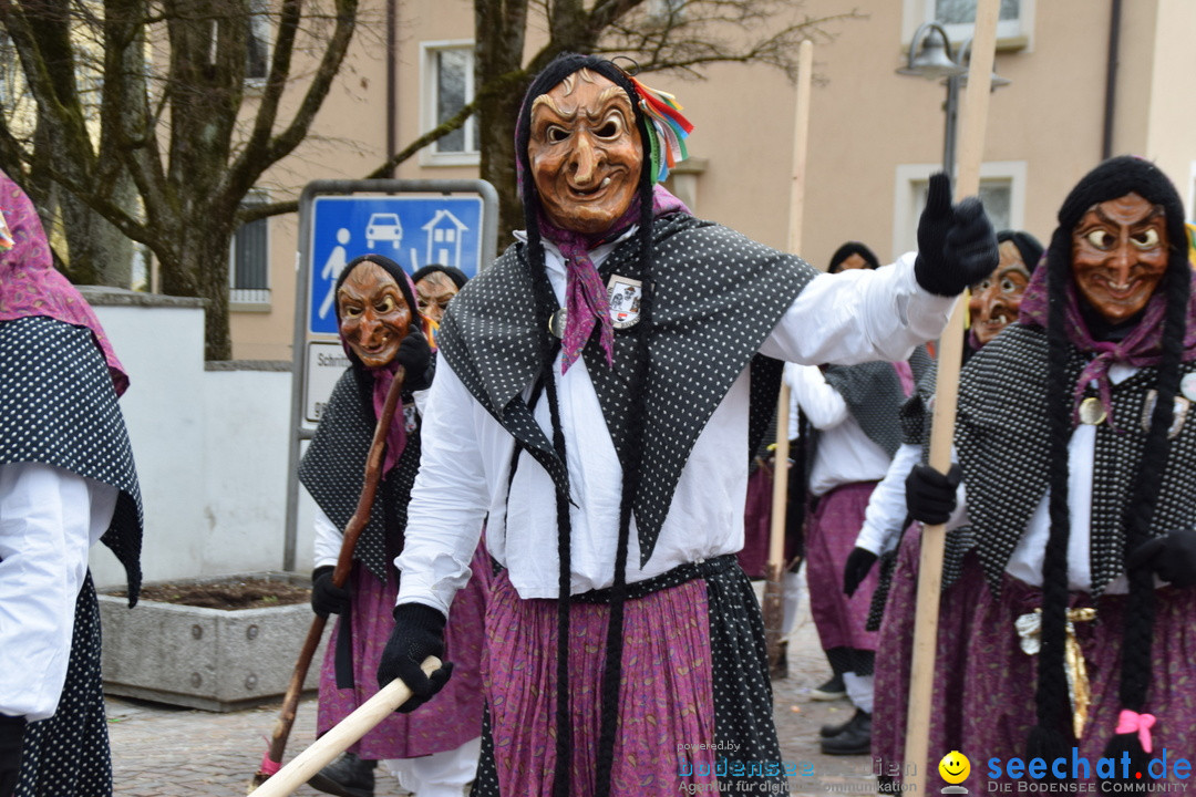 Fasnetsumzug - Fasching: Tettnang am Bodensee, 05.03.2019