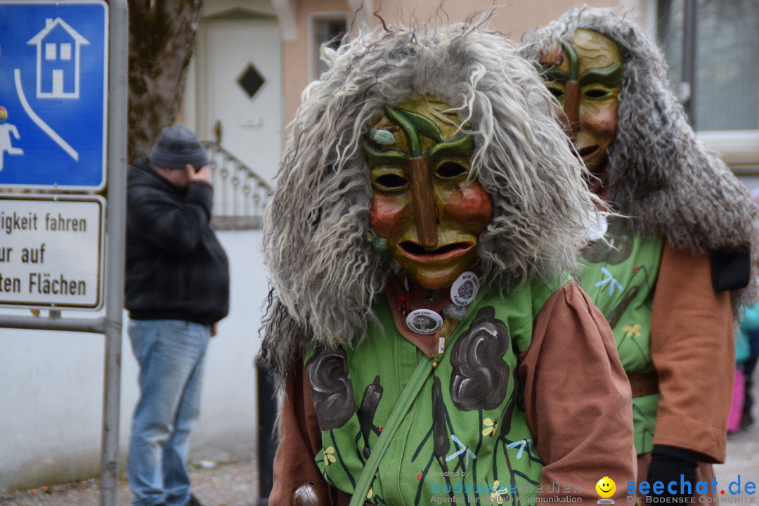 Fasnetsumzug - Fasching: Tettnang am Bodensee, 05.03.2019