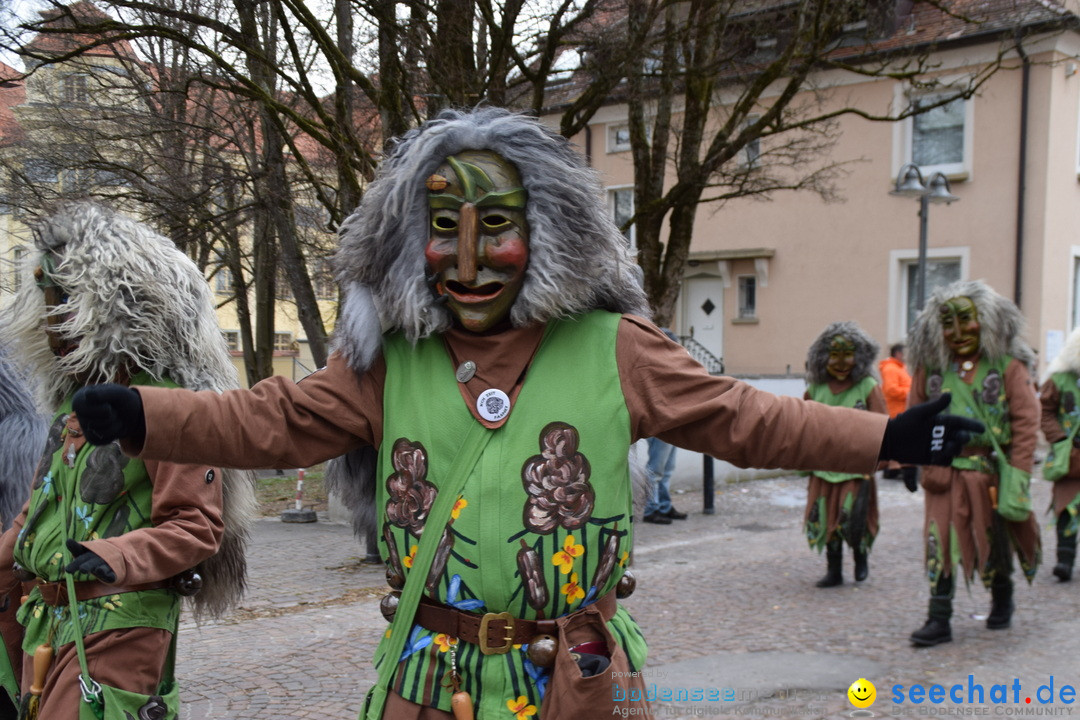 Fasnetsumzug - Fasching: Tettnang am Bodensee, 05.03.2019