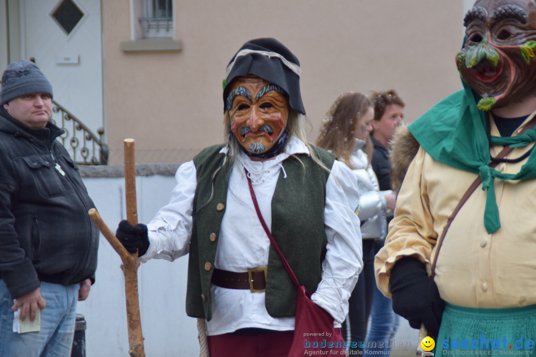 Fasnetsumzug - Fasching: Tettnang am Bodensee, 05.03.2019